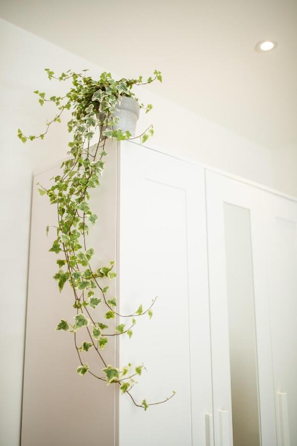Trendy Design 55M2 Apartment With Balcony - Db6B 's-Hertogenbosch  ภายนอก รูปภาพ